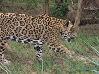 20100206 533.JPG